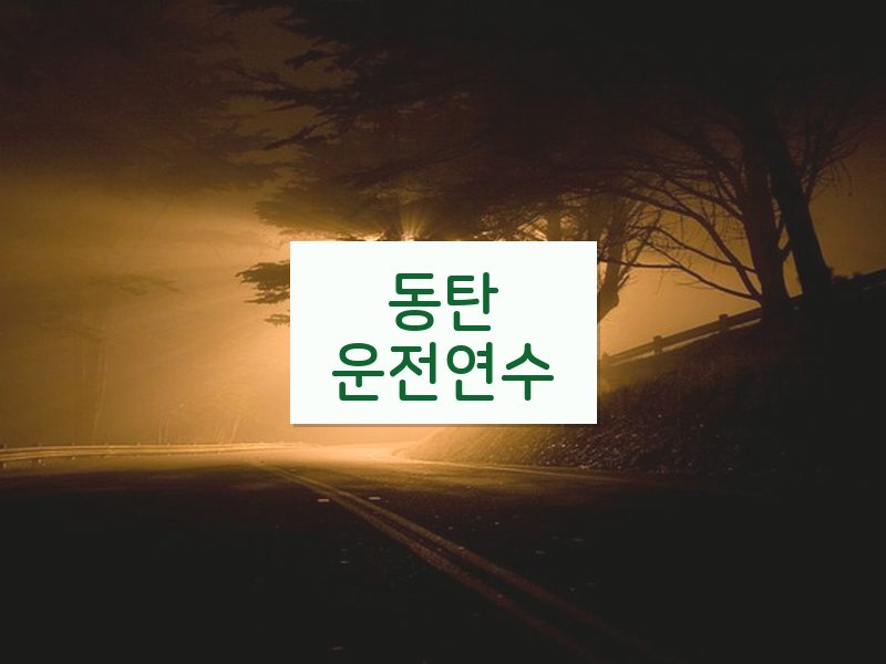 동탄운전연수 후기