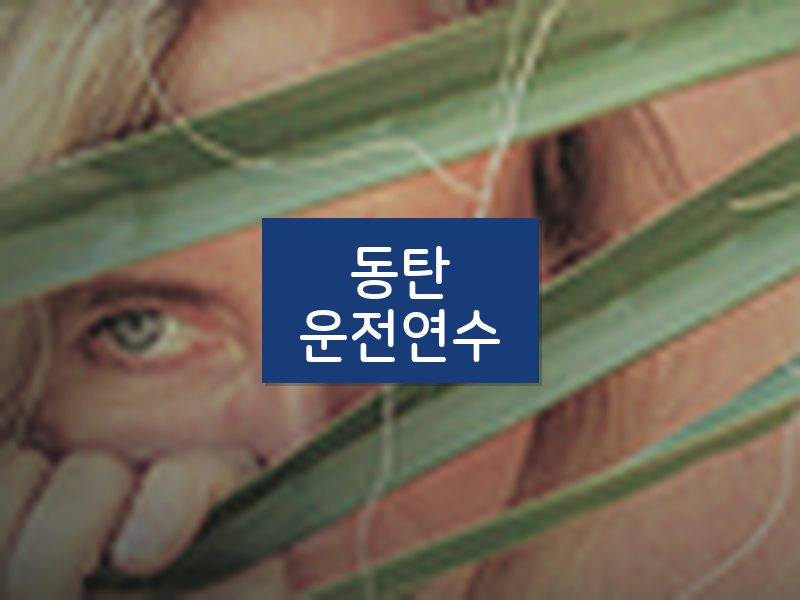 동탄운전연수 후기