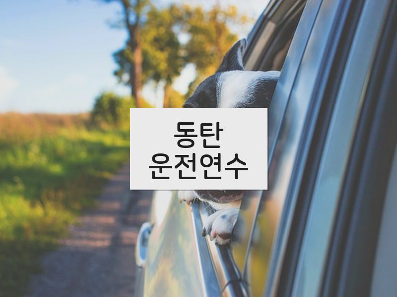 동탄운전연수 후기