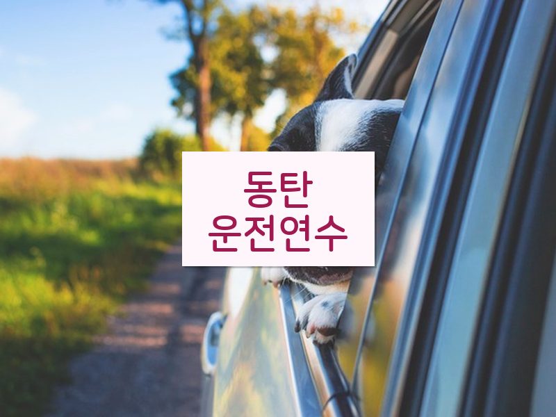 동탄운전연수 후기