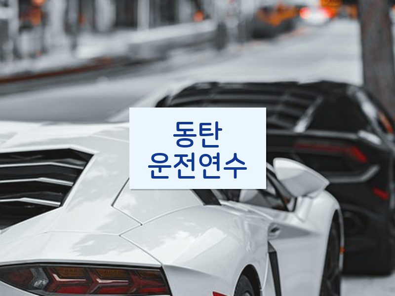 동탄운전연수 후기