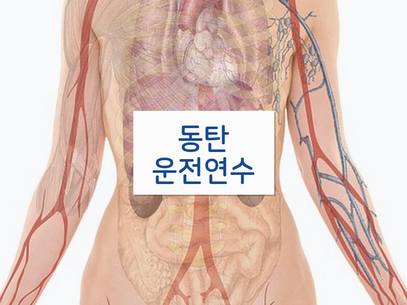 동탄운전연수 후기