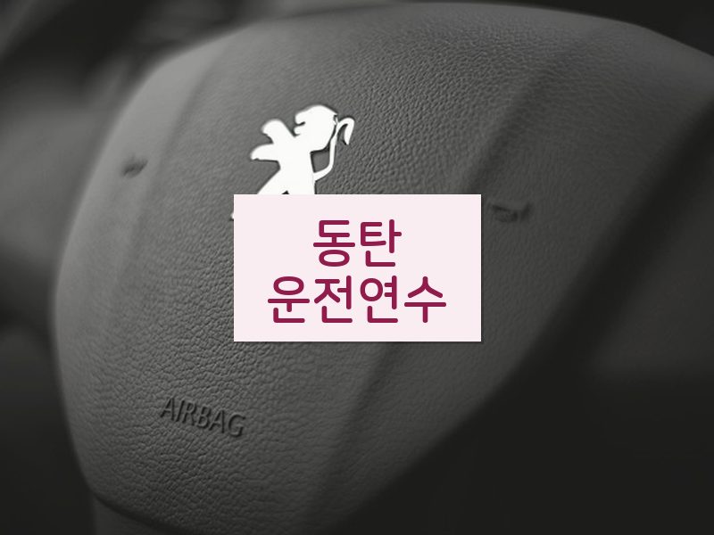 동탄운전연수 후기