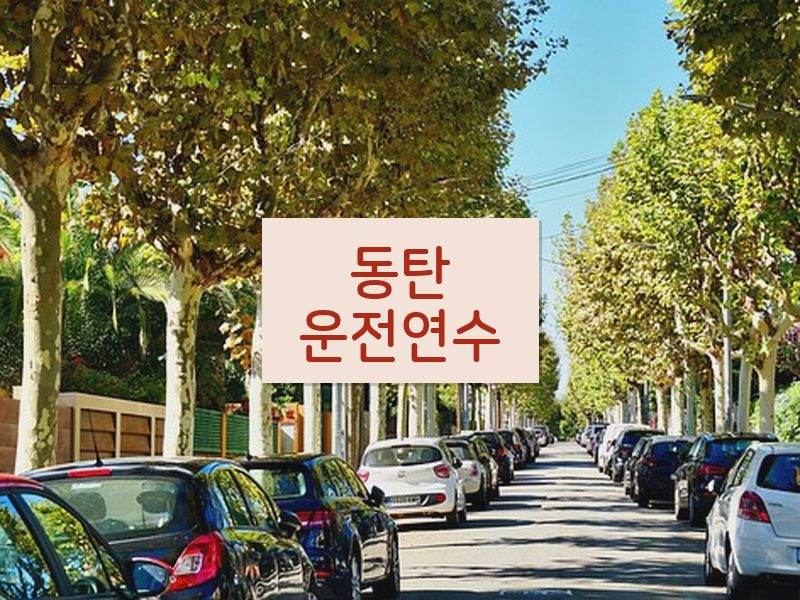 동탄운전연수 후기