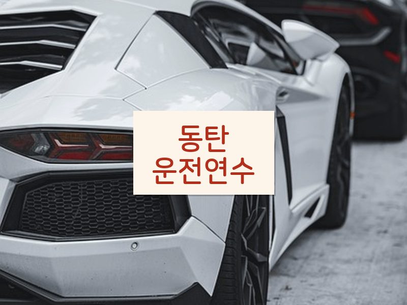 동탄운전연수 후기