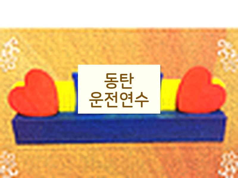 동탄운전연수 후기