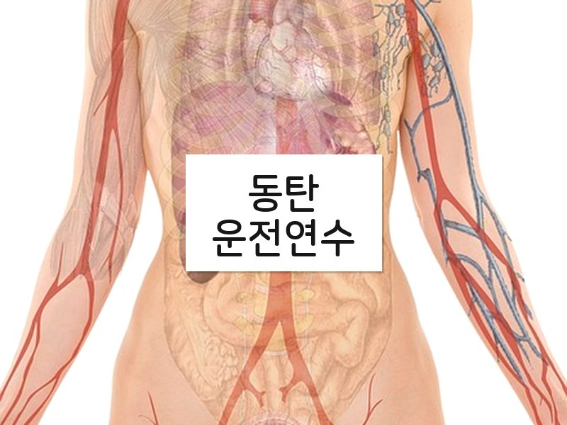 동탄운전연수 후기