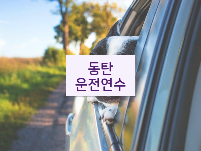 동탄운전연수 후기