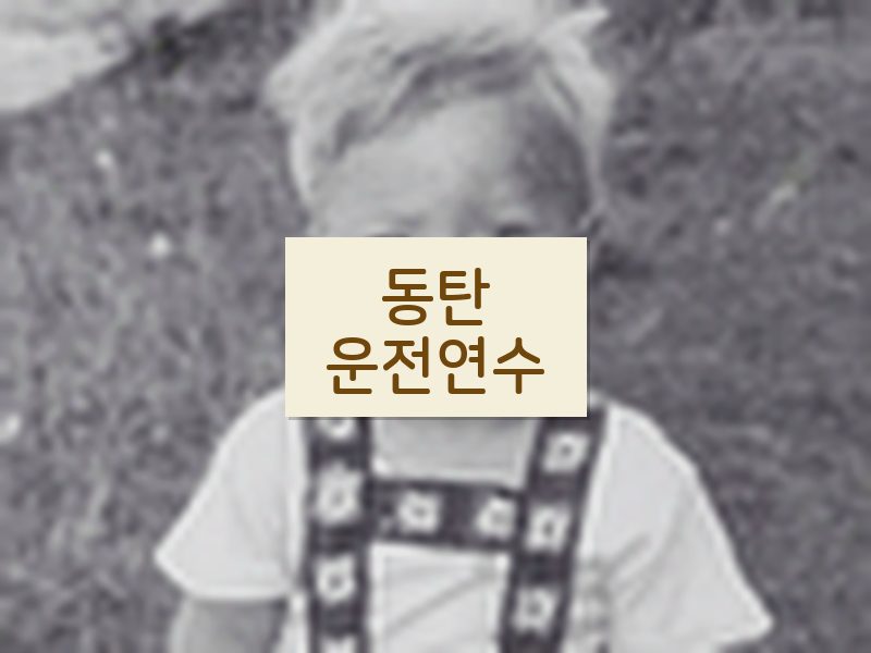 동탄운전연수 후기