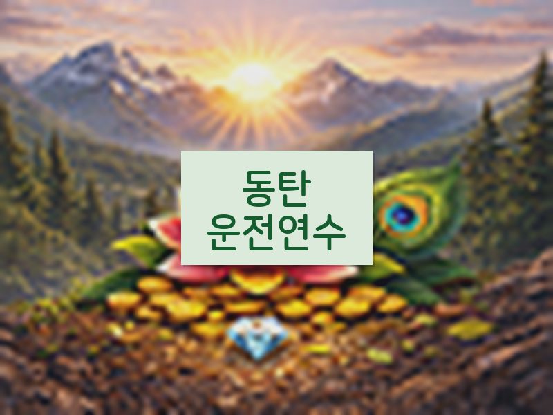동탄운전연수 후기