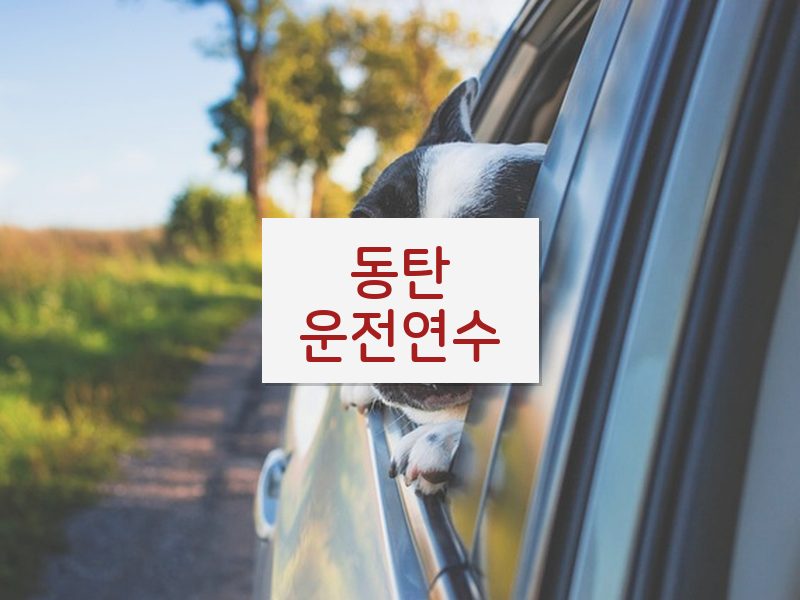 동탄운전연수 후기