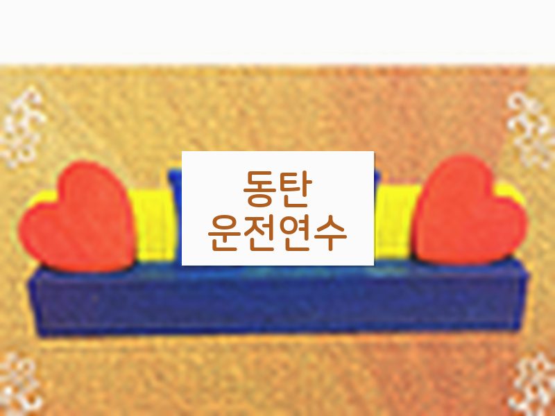 동탄운전연수 후기