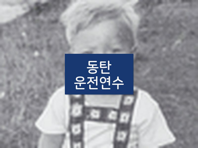 동탄운전연수 후기