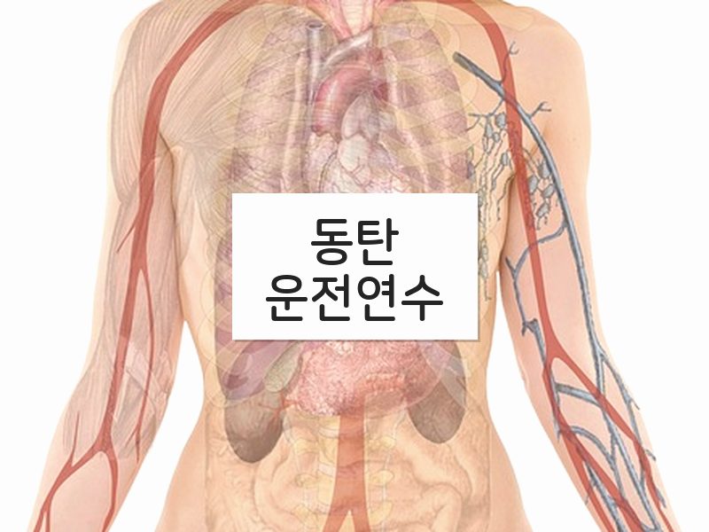 동탄운전연수 후기