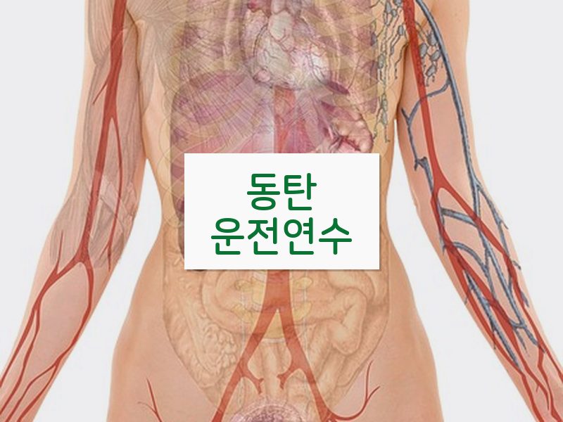 동탄운전연수 후기