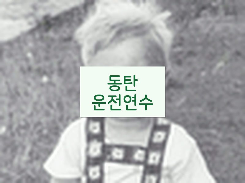 동탄운전연수 후기