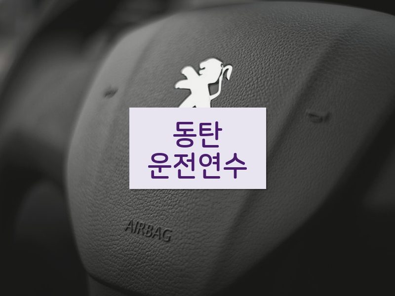 동탄운전연수 후기