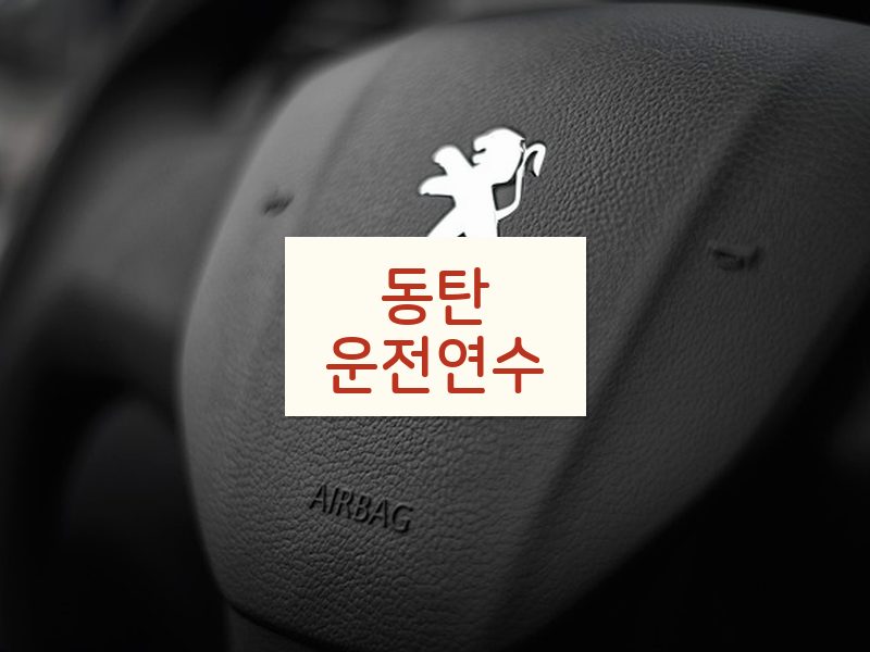 동탄운전연수 후기
