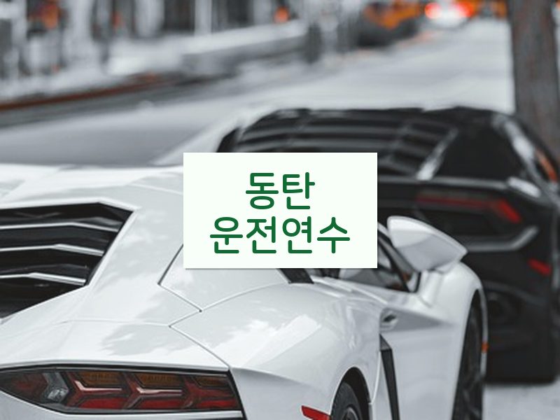 동탄운전연수 후기