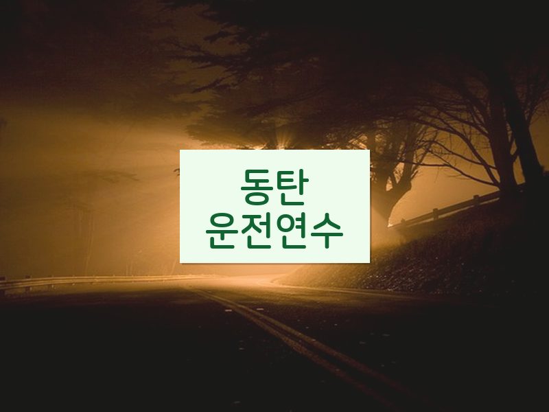 동탄운전연수 후기