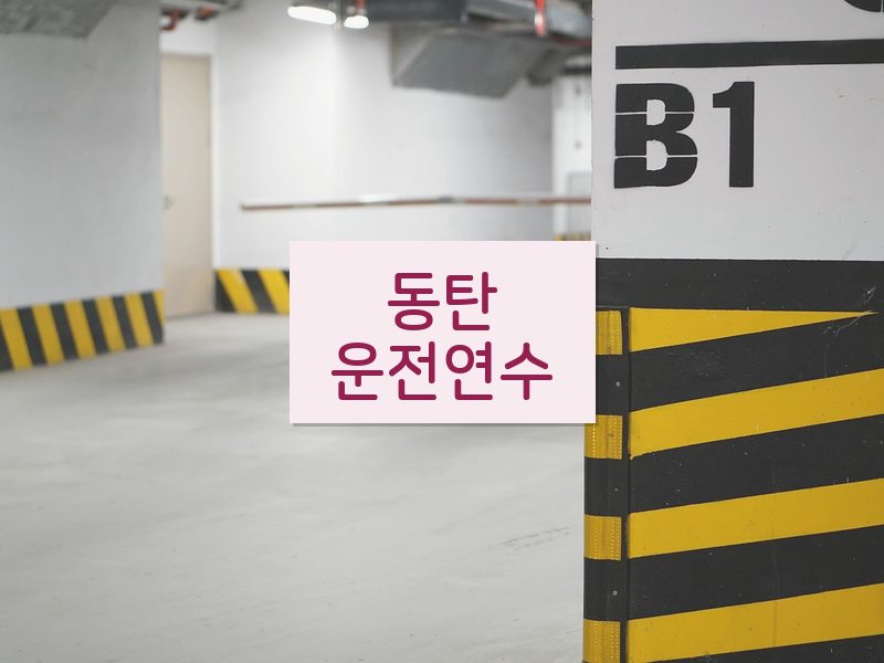 동탄운전연수 후기