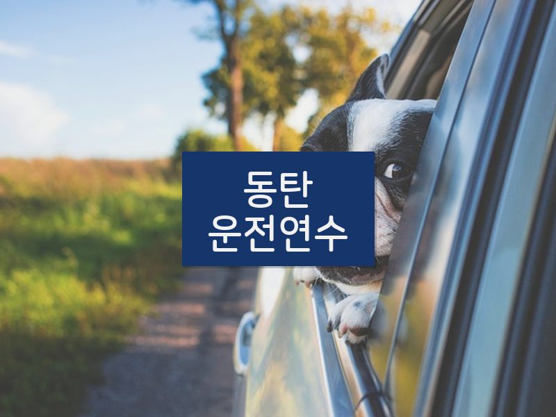 동탄운전연수 후기