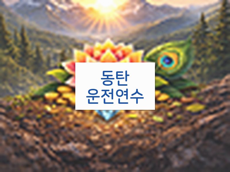 동탄운전연수 후기