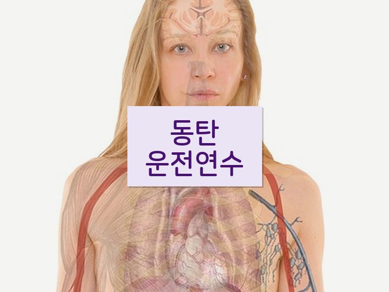 동탄운전연수 후기