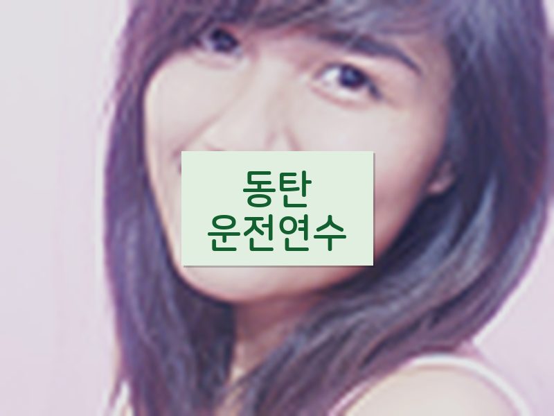 동탄운전연수 후기