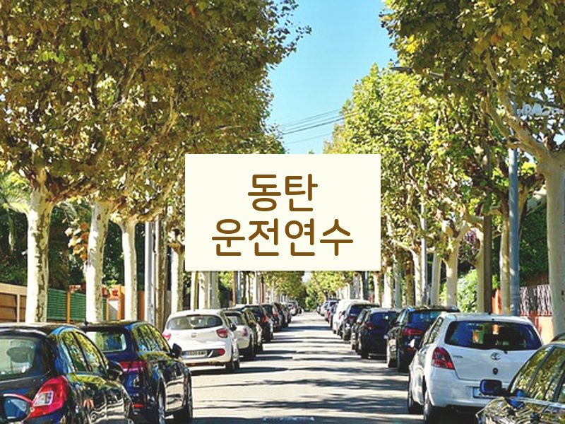 동탄운전연수 후기