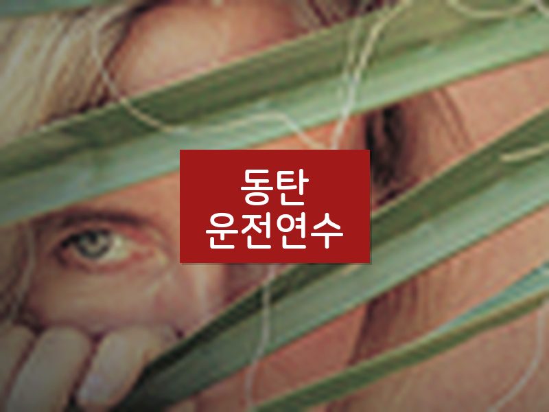동탄운전연수 후기