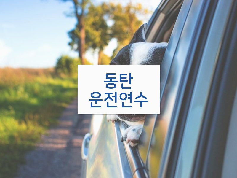 동탄운전연수 후기