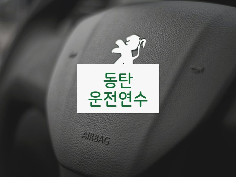 동탄운전연수 후기