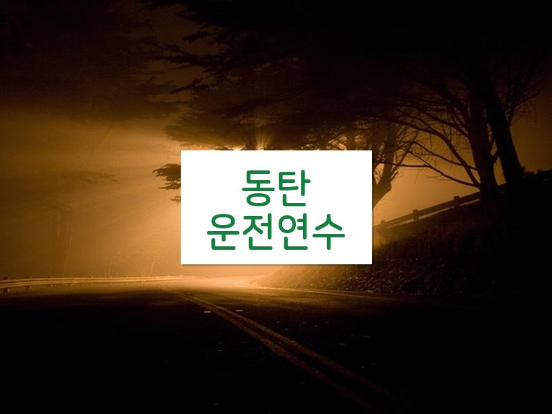 동탄운전연수 후기