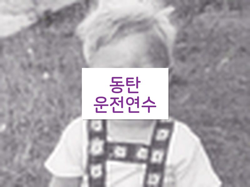 동탄운전연수 후기