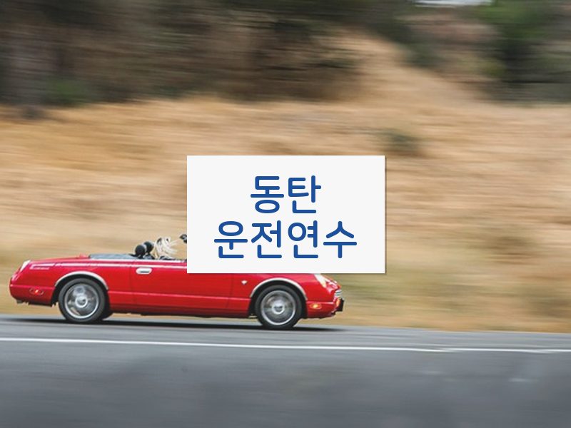 동탄운전연수 후기