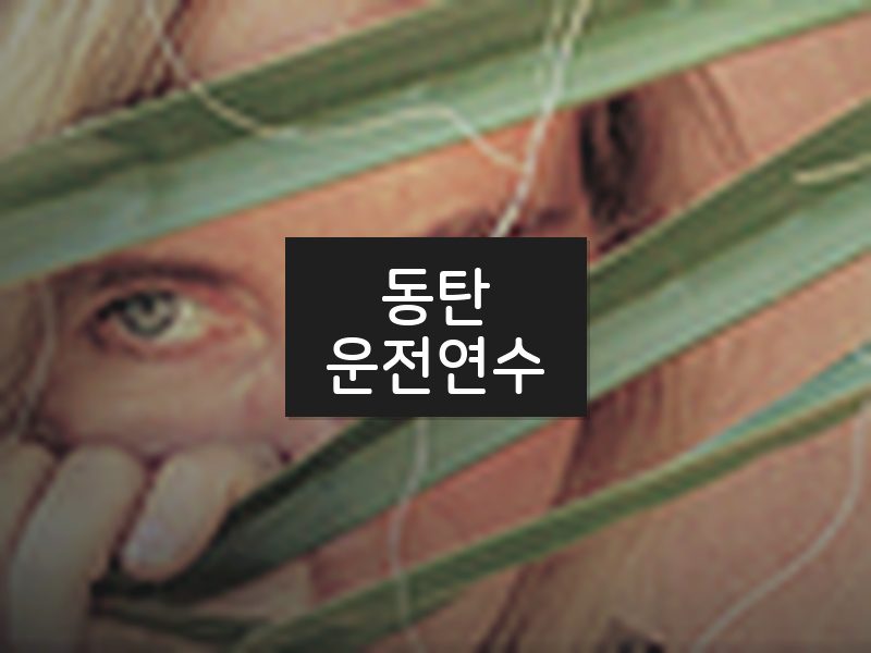 동탄운전연수 후기