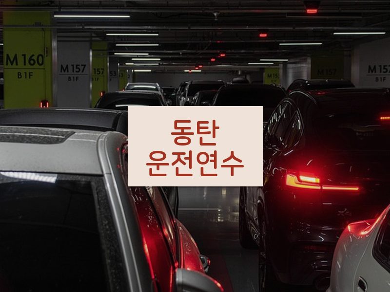 동탄운전연수 후기