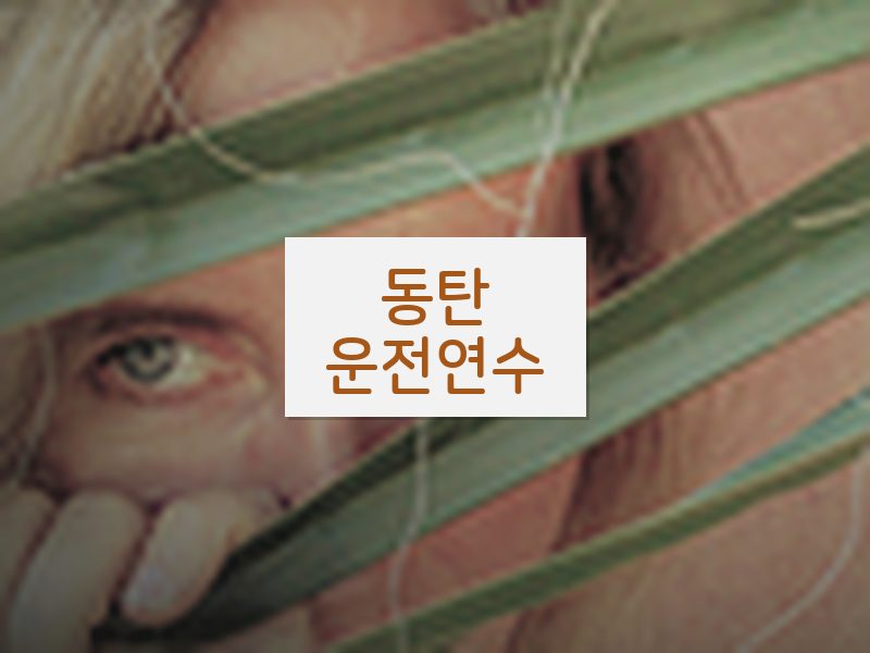 동탄운전연수 후기