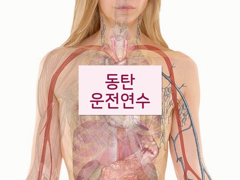 동탄운전연수 후기
