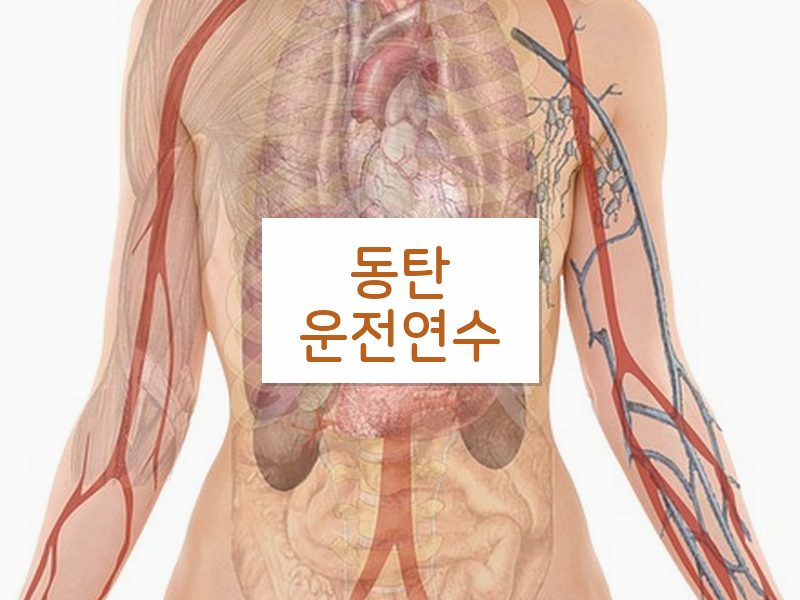동탄운전연수 후기