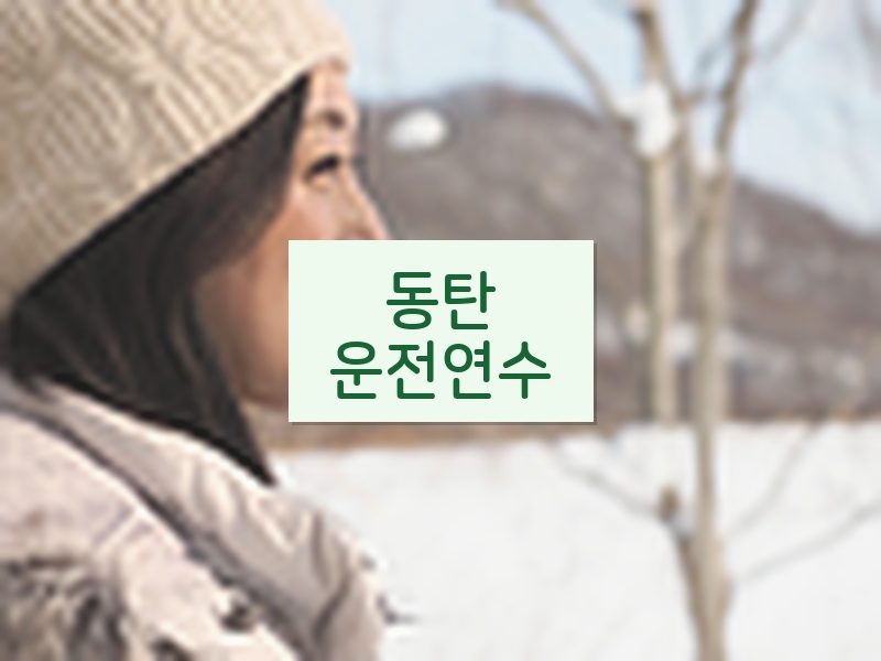 동탄운전연수 후기