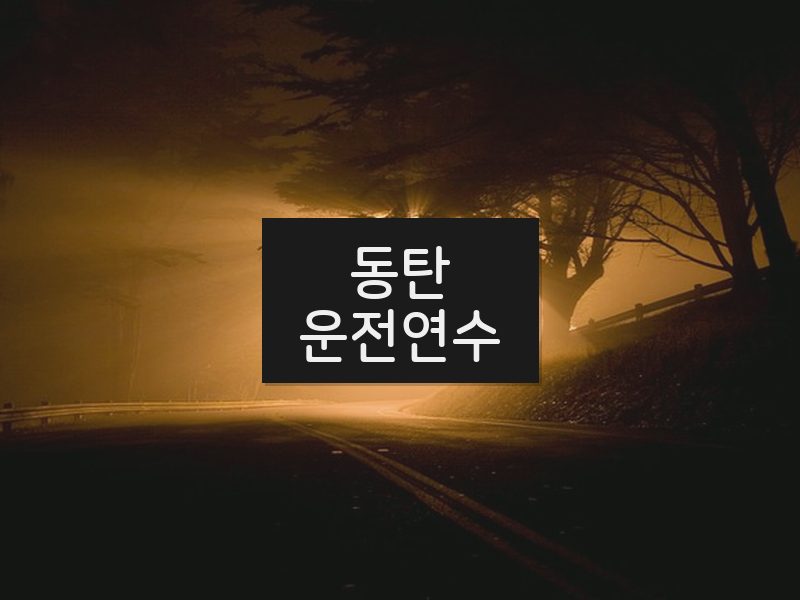 동탄운전연수 후기