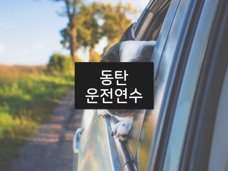 동탄운전연수 후기