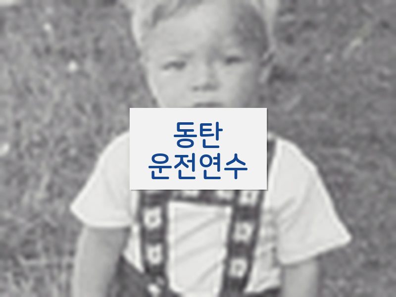 동탄운전연수 후기