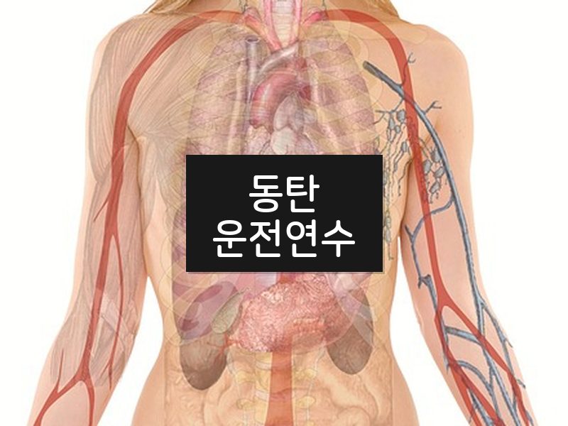 동탄운전연수 후기