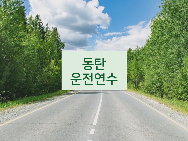 동탄운전연수 후기