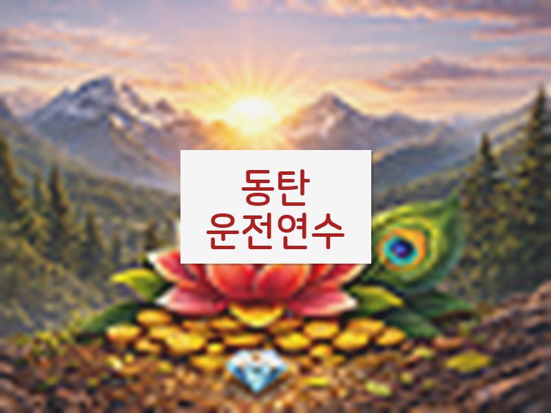 동탄운전연수 후기
