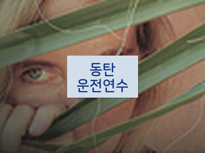 동탄운전연수 후기