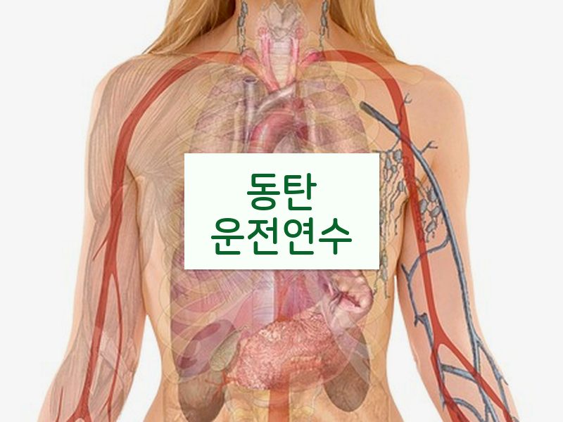동탄운전연수 후기